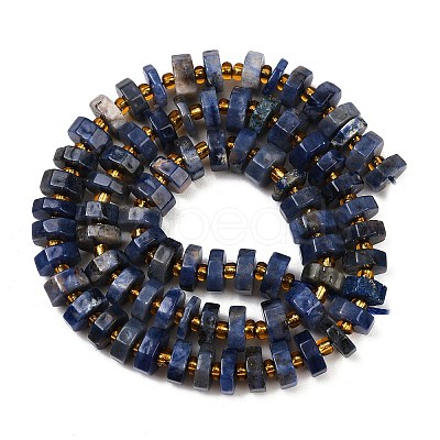Natural Sodalite Beads Strands G-F796-A10-01-1
