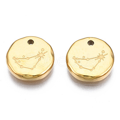 316 Surgical Stainless Steel Charms LS-STAS-S116-418C-G-1