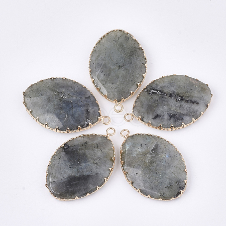 Natural Labradorite Pendants G-S344-83A-1
