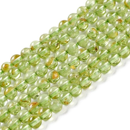 Natural Peridot Beads Strands G-K313-B01-02-1