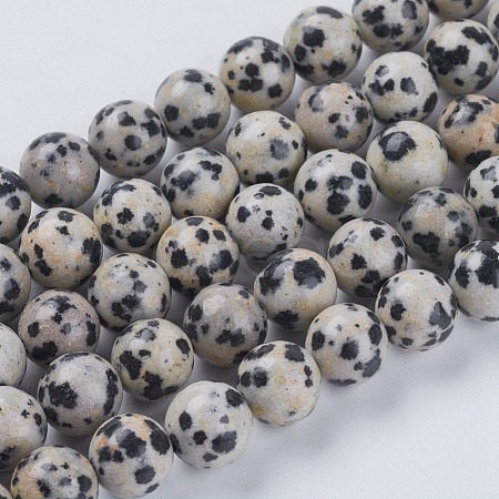 Natural Dalmation Jasper Beads Strands X-G-G515-8mm-06-1