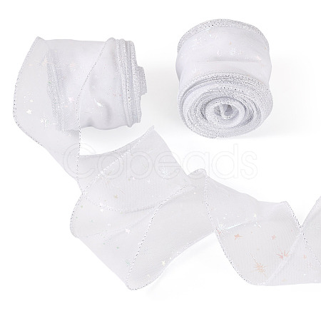 Polyester Deco Mesh Ribbons OCOR-TAC0024-004E-1