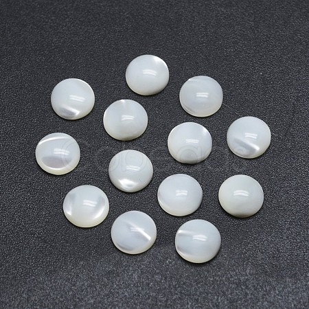 Shell Cabochons X-SSHEL-P015-61-8mm-1