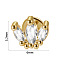 304 Stainless Steel Micro Pave Clear Cubic Zirconia Cartilage Earrings, Golden, Leaf, 6mm, Pin: 1.2mm