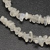 Chips Natural White Moonstone Beads Strands X-G-N0164-57-3