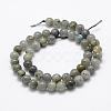 Natural Labradorite Beads Strands G-P322-29-8mm-2