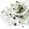 Natural Prehnite Chips Beads G-M428-04B-1