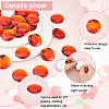 30Pcs Extra Large Jewelry Sticker TACR-FG0001-19B-4
