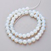 16 inch long Opalite Loose Beads LS-GSR8mmC081-3
