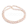 Transparent Glass Beads Strands EGLA-P052-03B-01-2