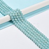 Grade A Natural Amazonite Beads Strands G-C046-01B-2