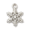 CCB Plastic Pendants CCB-I007-08P-1