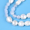 Natural Blue Lace Agate Nuggets & Natural Cultured Freshwater Pearl Beads Strands PEAR-N023-01A-04-4