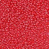 11/0 Czech Opaque Glass Seed Beads SEED-N004-003B-22-4