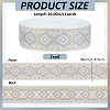 Ethnic Style Polyester Ribbon OCOR-WH0105-092C-2