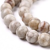 Natural Maifanite/Maifan Stone Beads Strands G-I187-6mm-01-7