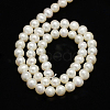 Natural Cultured Freshwater Pearl Beads Strands PEAR-L001-C-13-3