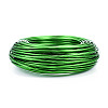 Round Anodized Aluminum Wire AW-S001-3.0mm-25-2