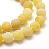 Frosted Natural Weathered Agate Beads Strands G-F367-8mm-11-5