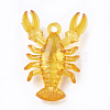 Transparent Acrylic Pendants X-TACR-S149-02-3