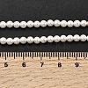 Electroplated Shell Pearl Beads Strands X-BSHE-K017-4mm-4