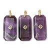 Natural Amethyst Pendants GG-CBA51ED-05G-01-1