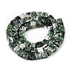Natural Green Spot Jasper Beads Strands G-T139-6x6-23A-2