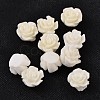 Resin Beads RESI-B3455-A01-1