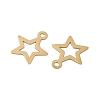 304 Stainless Steel Charms STAS-K306-06B-G-2