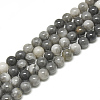 Natural Hawk's Eye Beads Strands X-G-S300-110-8mm-1