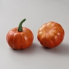Foam Imitation Food Display Decorations AJEW-WH0270-795G-1