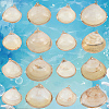 30Pcs Electroplated Natural Shell Pendants SSHEL-SC0001-58-7