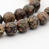 Natural Leopard Skin Jasper Round Bead Strands G-P070-77-4mm-3