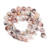 Natural Cherry Blossom Agate Beads Strands G-G182-B40-03-3