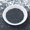 MIYUKI Delica Beads SEED-J020-DB0453-2