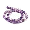 Natural Lepidolite/Purple Mica Stone Beads Strands G-K415-8mm-7
