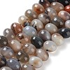 Natural Agate Beads Strands G-G021-03A-05-2