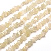 Natural White Moonstone Chip Bead Strands X-G-M205-65-1