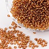 (Repacking Service Available) 6/0 Glass Seed Beads SEED-C014-4mm-22C-1