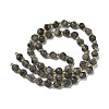 Natural Larvikite Beads Strands G-K387-A02-01-4