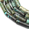 Natural African Turquoise(Jasper) Beads Strands G-F247-29-2