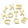 304 Stainless Steel Charms X-STAS-P141-5