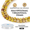 DIY Natural Regalite/Imperial Jasper/Sea Sediment Jasper Beads Bracelets  Making KIts DIY-TA0002-69E-4