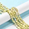 Natural Jade Beads Strands G-P497-01A-06-2