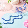 2Strands Handmade Lampwork Beads Strands BLOW-TADJ0001-01F-5