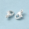 304 Stainless Steel Lobster Claw Clasps STAS-R120-02A-S-4