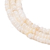 Natural Freshwater Shell Beads Strands SHEL-P017-01A-02-3
