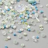 Glass Seed Beads SEED-WH0007-06A-2