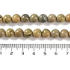 Natural Verdite Stone Beads Strands G-P530-B07-03-5