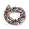 Natural Black Sunstone Beads Strands G-L492-05D-3